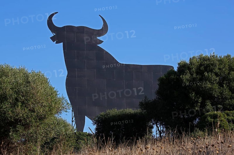 Bull silhouette