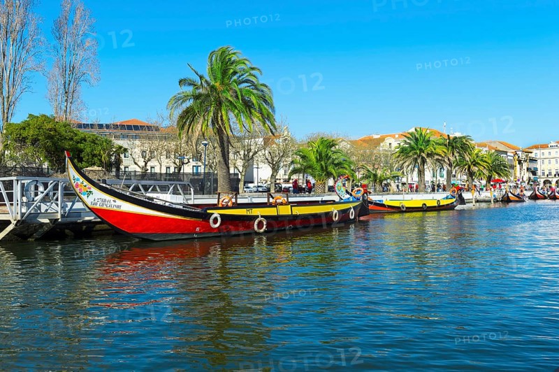 Moliceiros moored along the main canal
