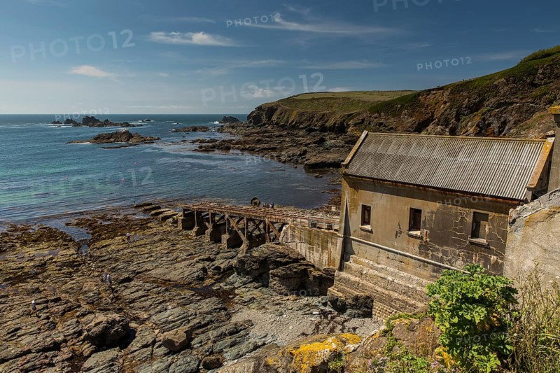 Lizard Point