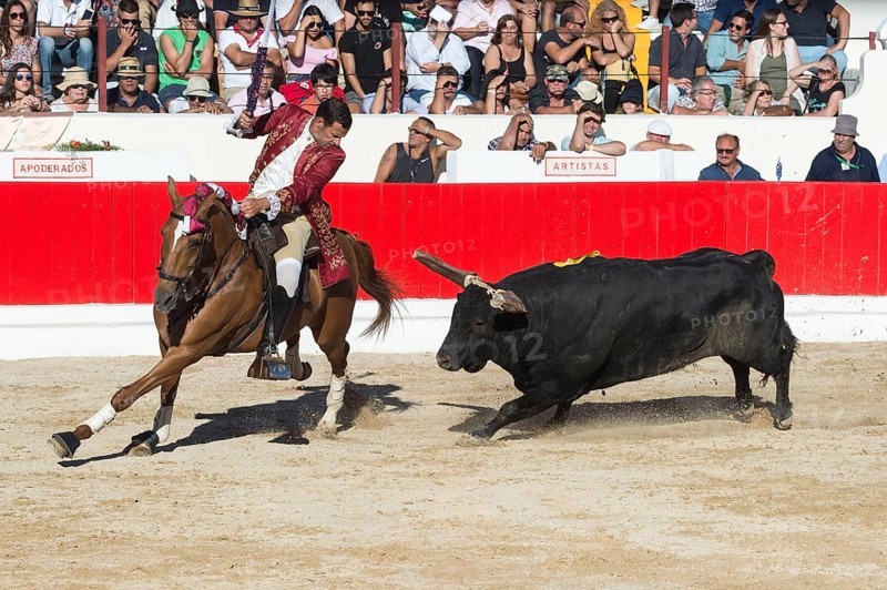 Bullfight in Alcochete