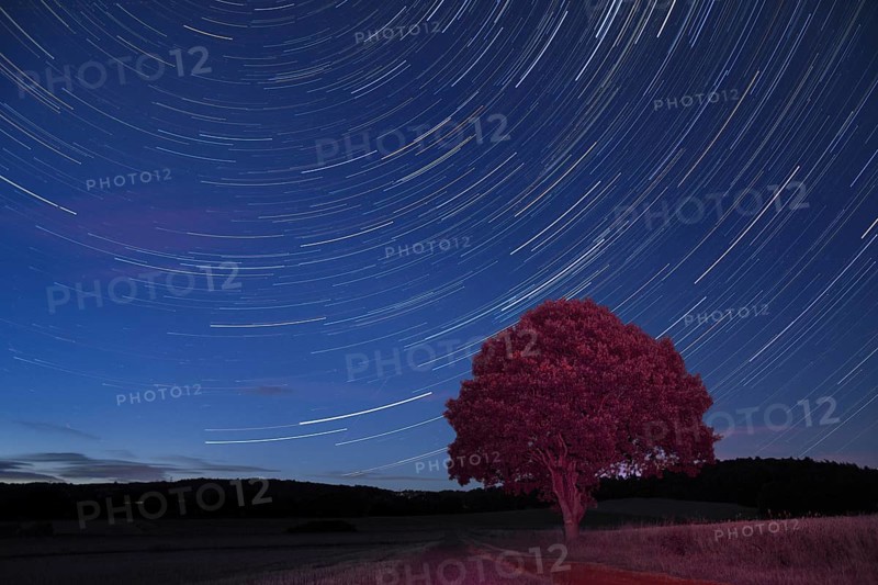 Star trails
