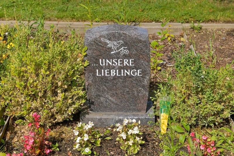 Pet Cemetery