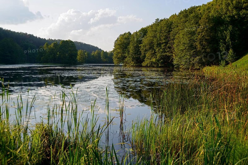 Lake near Rutka
