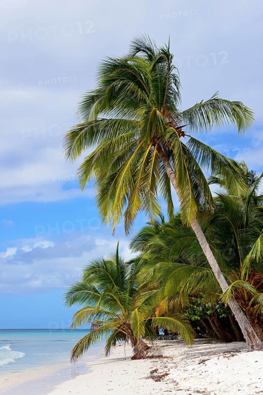 Palm Beach