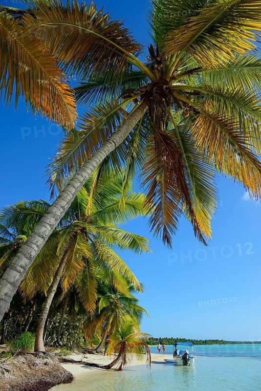 Palm Beach