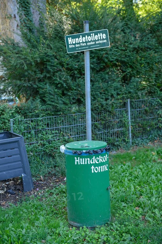 Dog waste bin