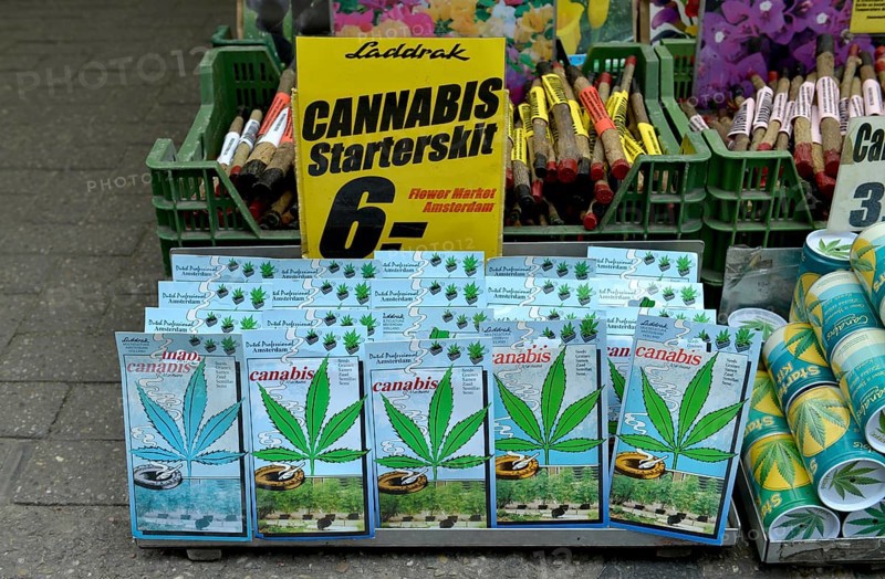 Cannabis