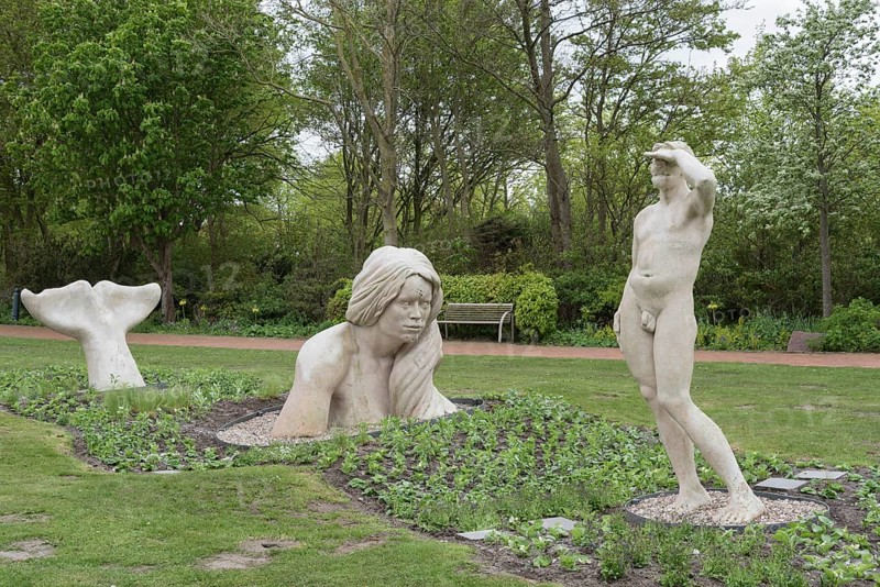 Sculpture Swimming exercises