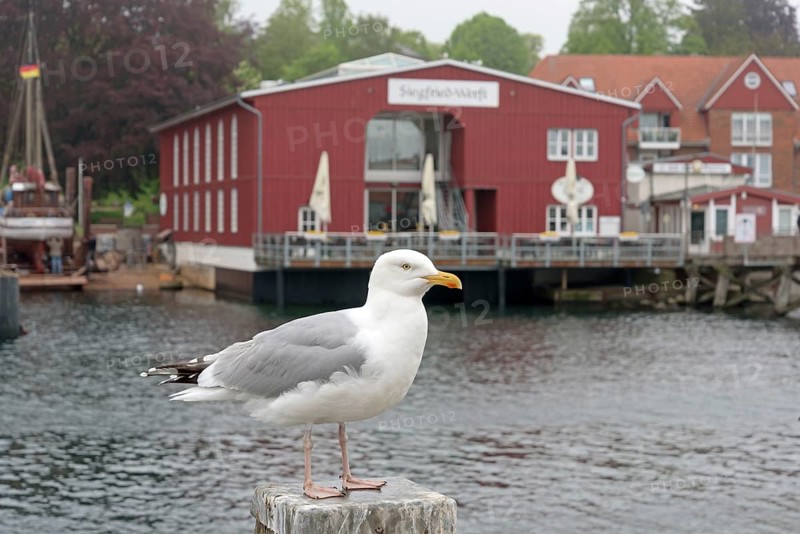 Port of Eckernfoerde