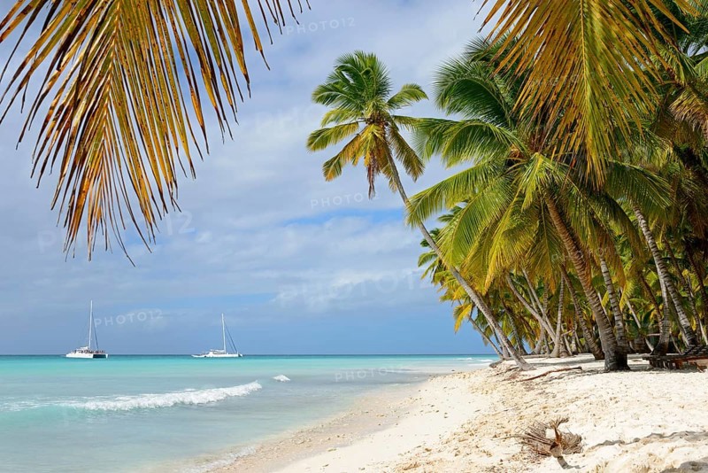 Palm Beach