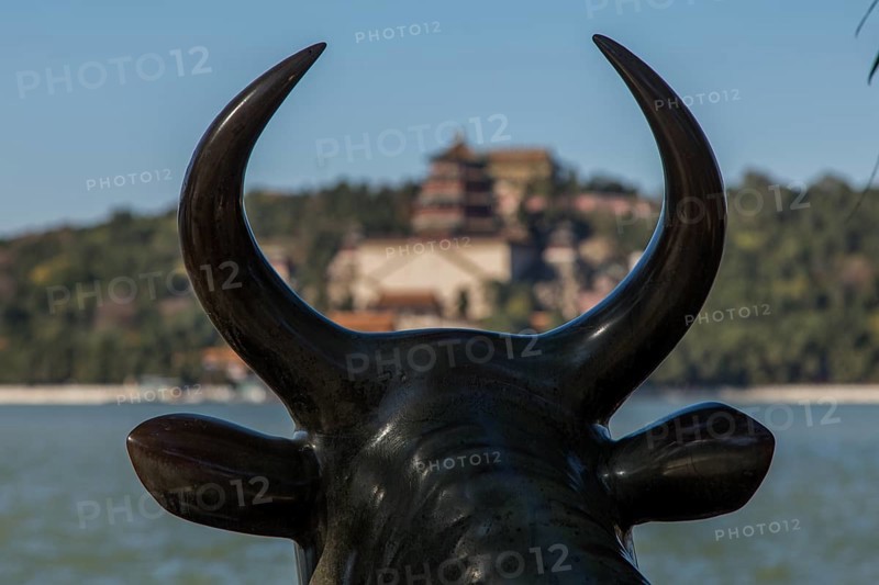 Summer Palace