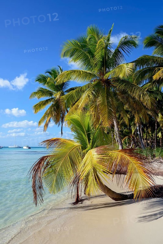 Palm Beach