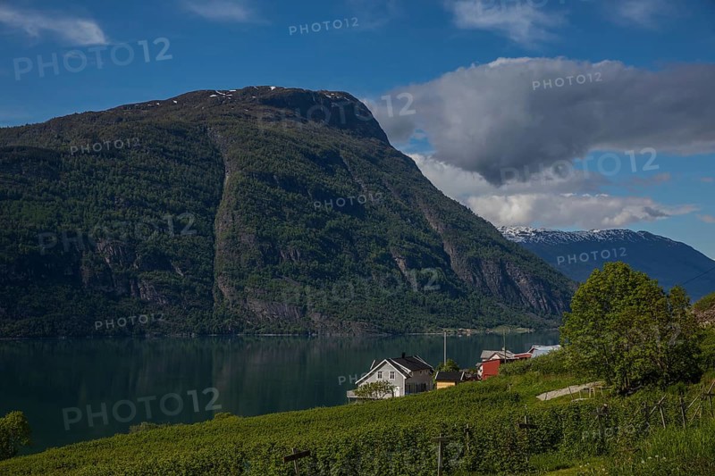Lustrafjord