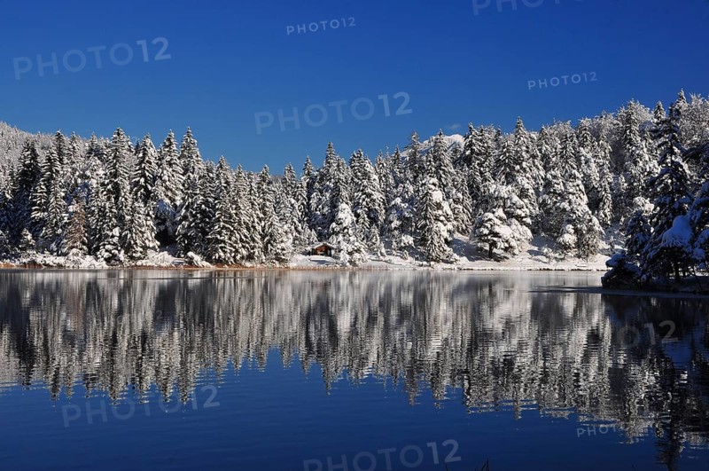 Lautersee
