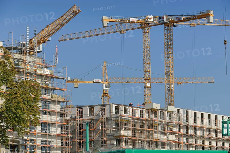 Cranes