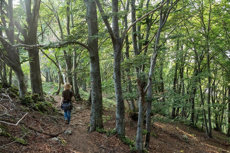 Descent from Sasso del Ferro