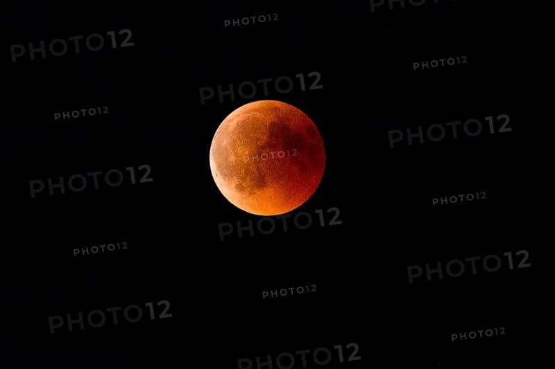 Blood Moon