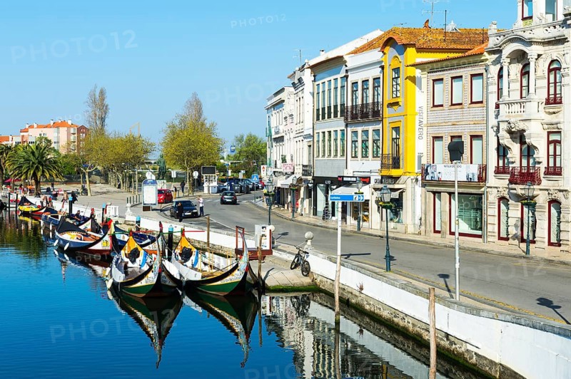 Moliceiros moored along the main canal