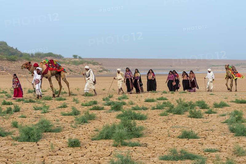 People from the Rabari tribe walking in the desert with a dromedary