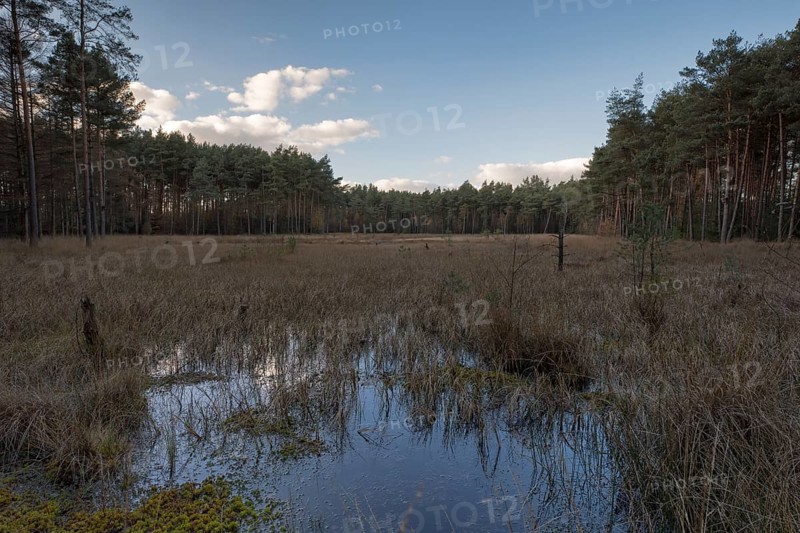 Wasagmoor