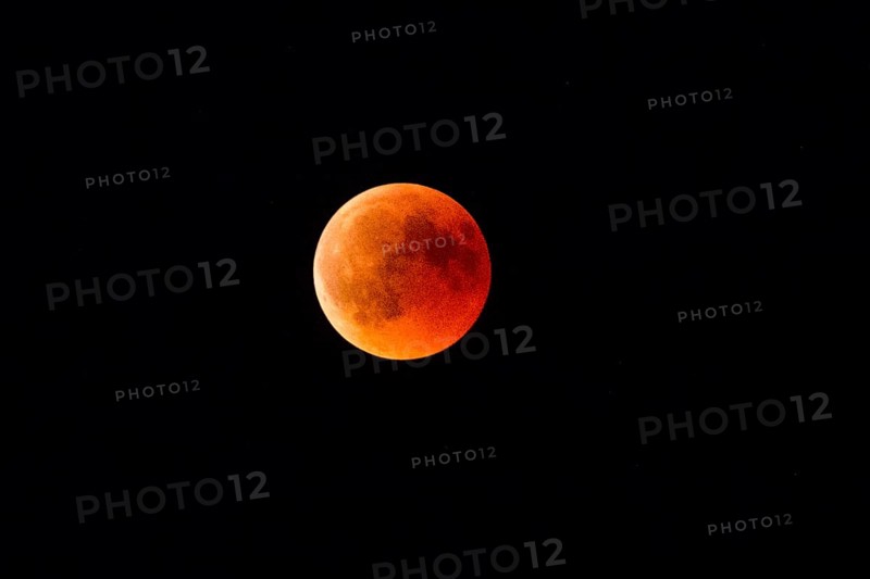 Blood Moon