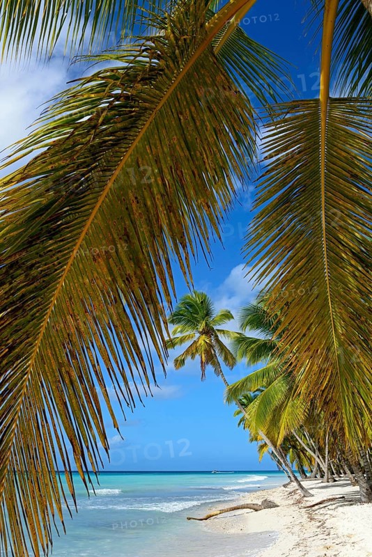 Palm Beach