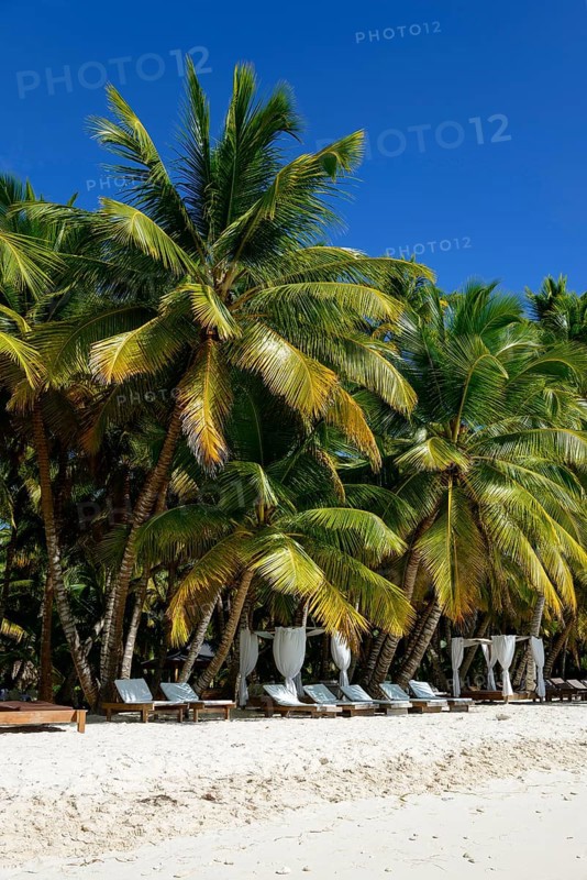Palm Beach
