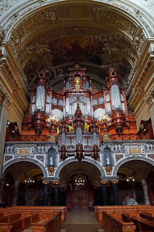 Organ and Organ Gallery