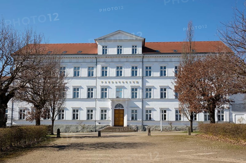 Paedagogium (Circus)