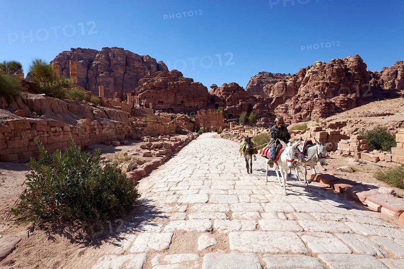 Jordanian
