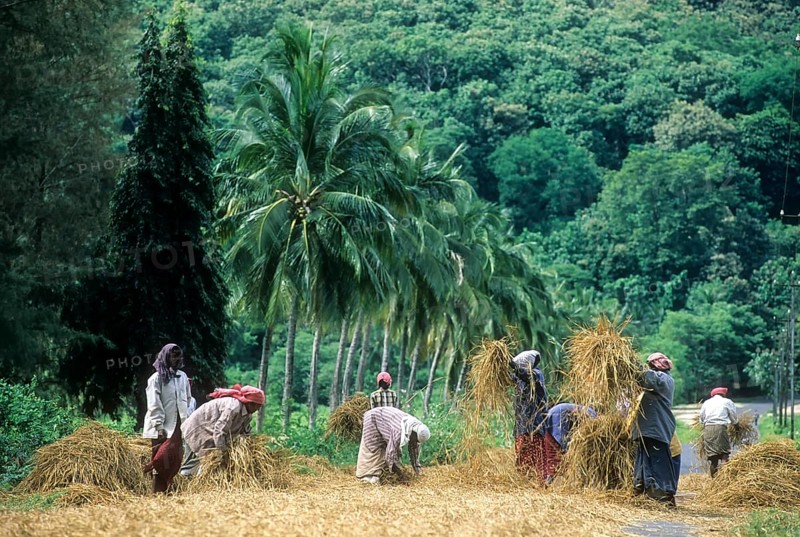 Threshing