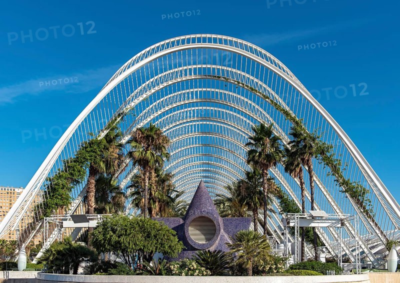 The Umbracle