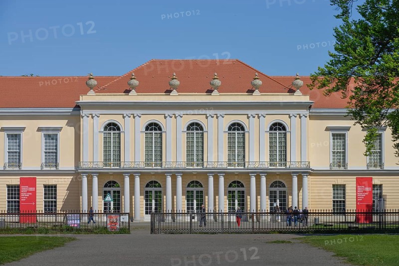 New Wing