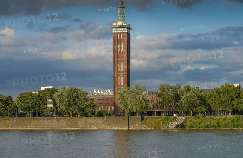 Rhine
