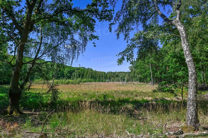 Teufelsmoor