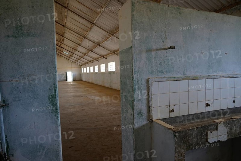 Communal cell