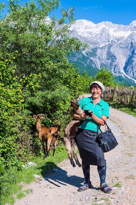 Shepherdess and her goats