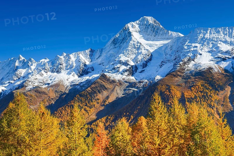 Freshly snow-covered Bietschhorn