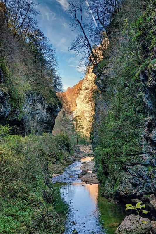 Autumn in Guam gorge