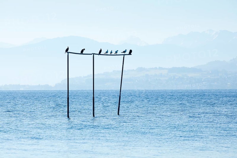 View from Arbon over Lake Constance