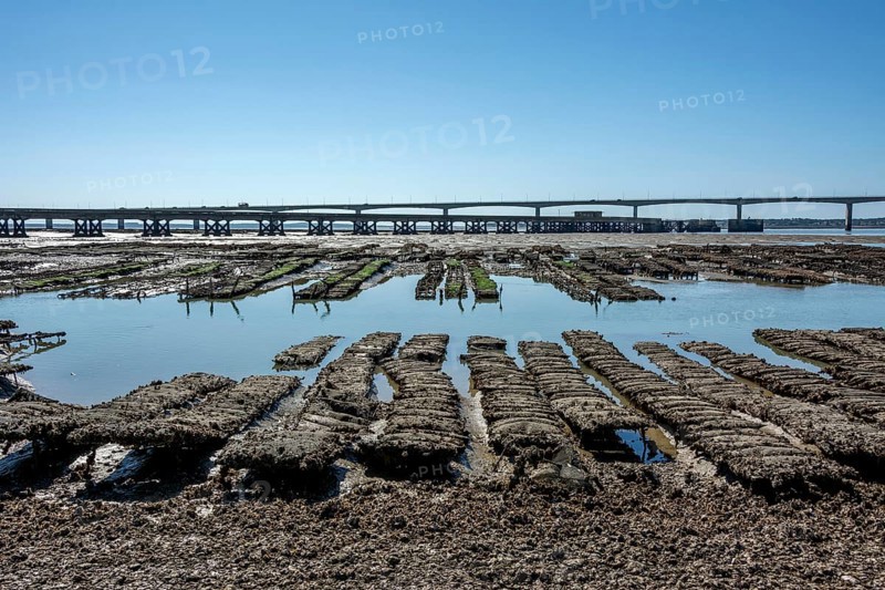 Oyster beds and Oleron bridge
