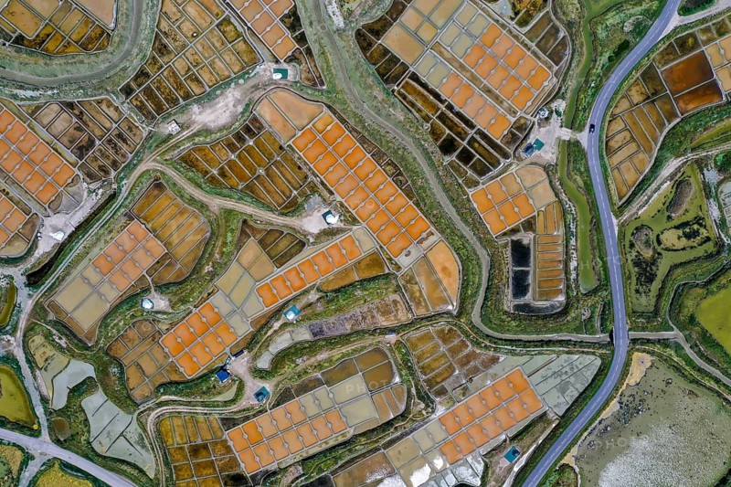 Aerial view of the salt marshes
