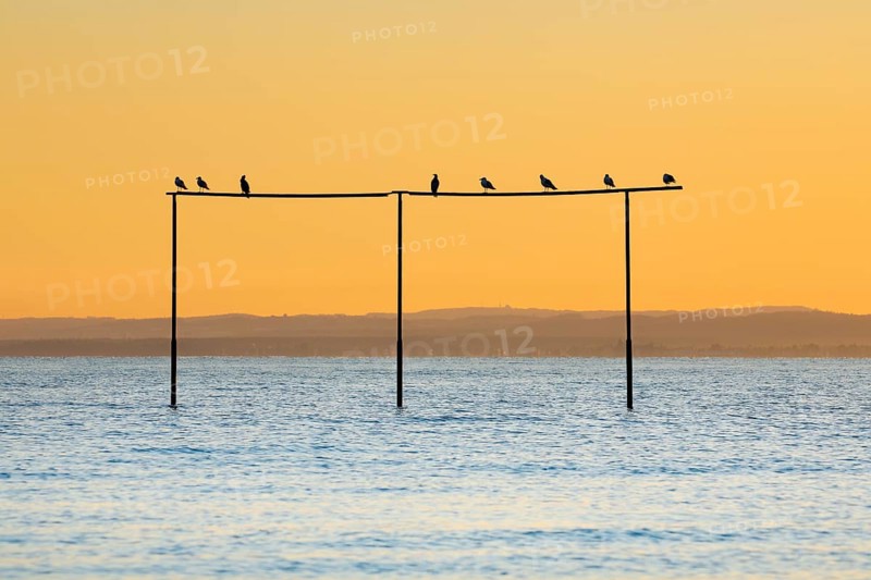 View from Arbon over Lake Constance at sunrise