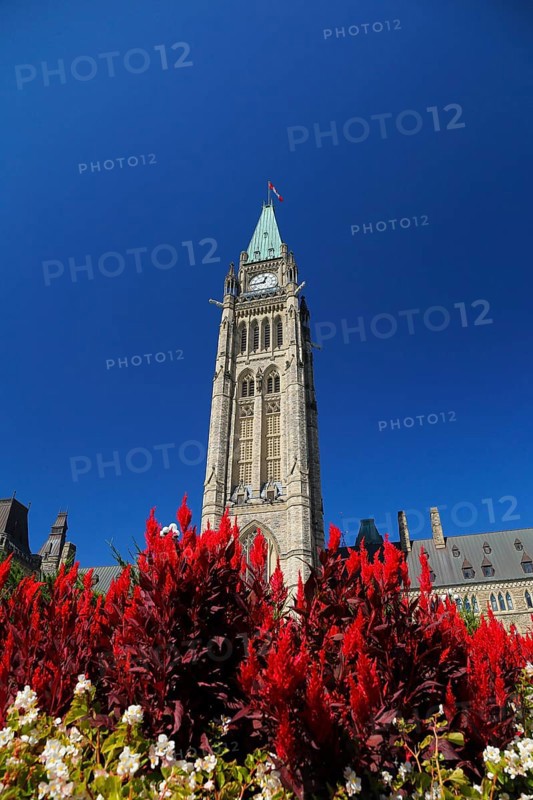 The Peace Tower