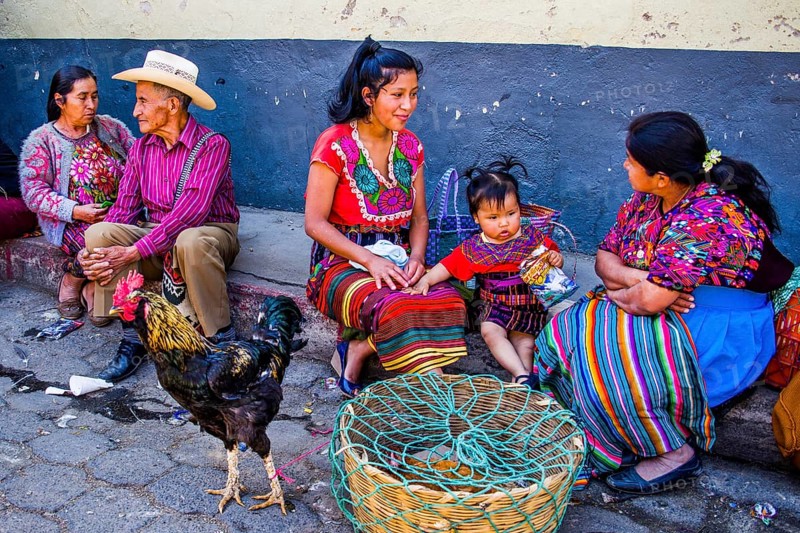 Poultry market