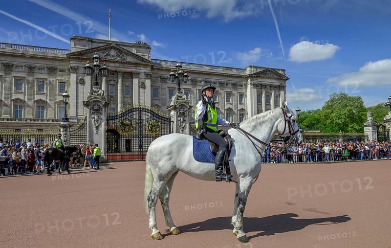 Mounted Policewoman