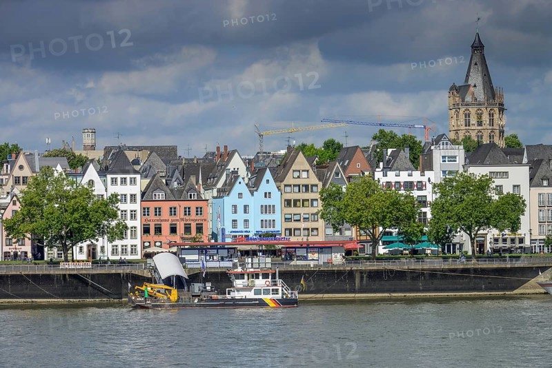 Rhine