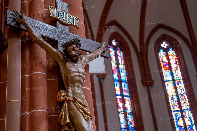 Crucifix in the Catholic Church of junglefowl (Gallus)