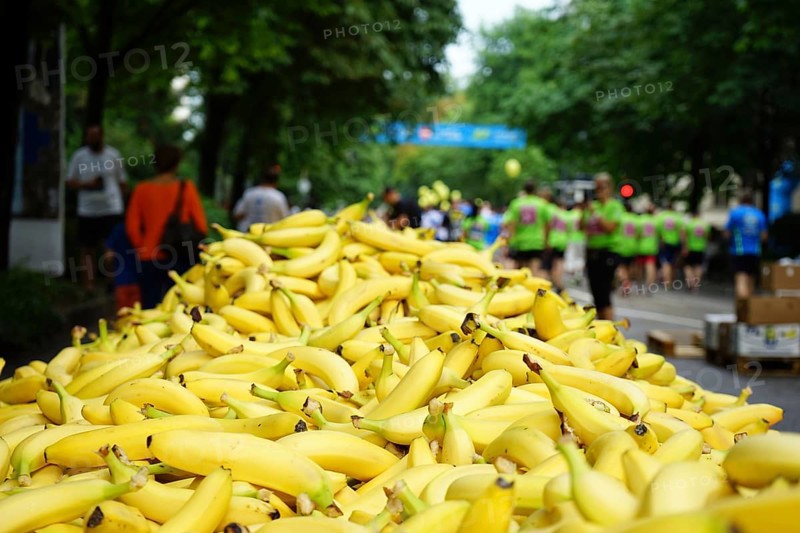 Frankfurt Corporate Run