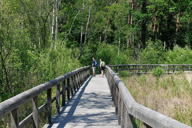 Wooden footbridge